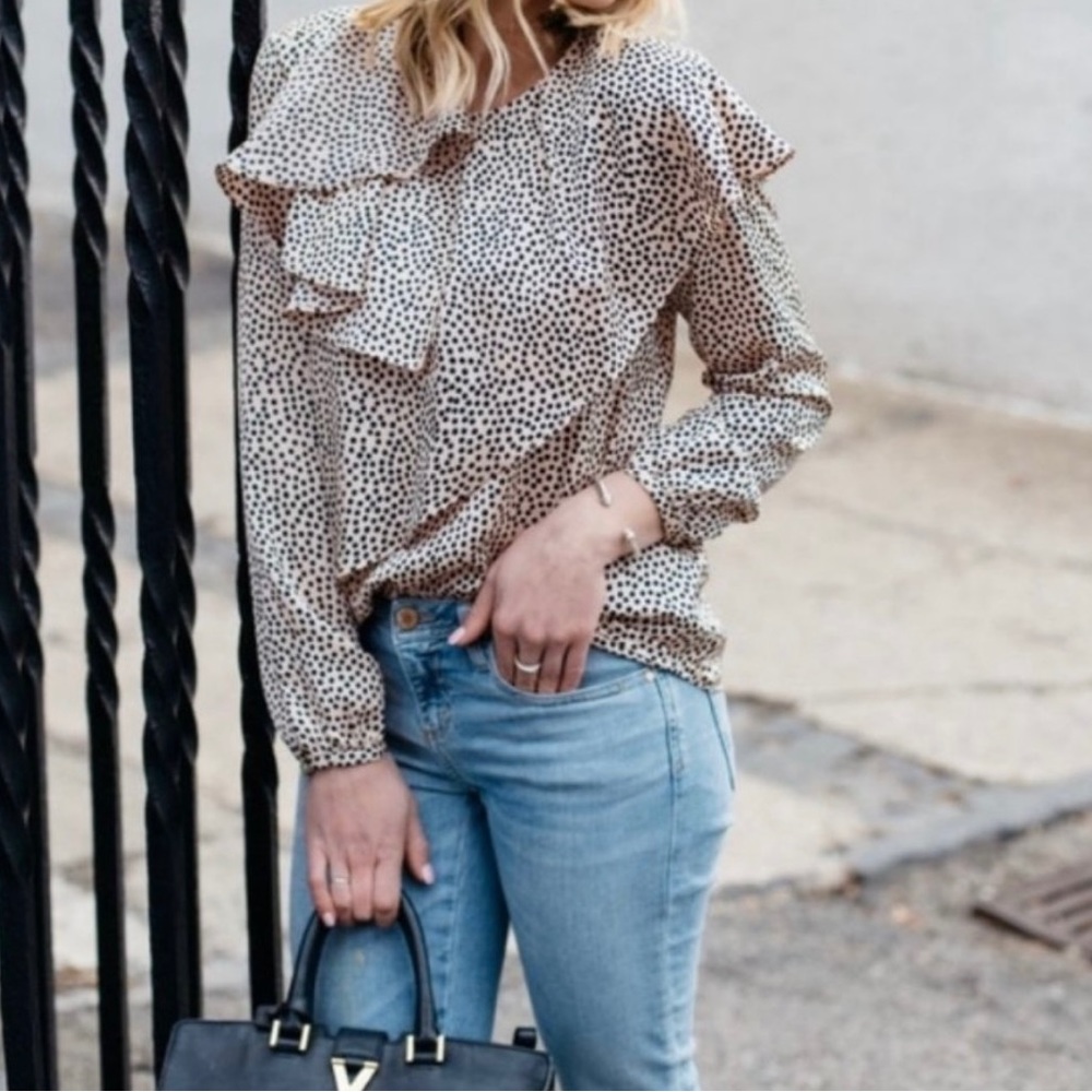 ZARA Double Frill Polka Dot Silk Feel Blouse